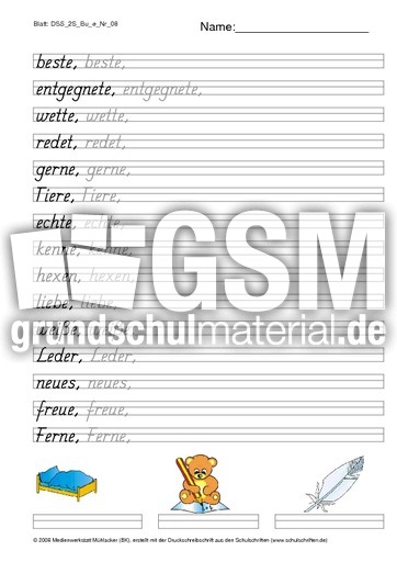DSS_2S_Bu_e_Nr_08.pdf